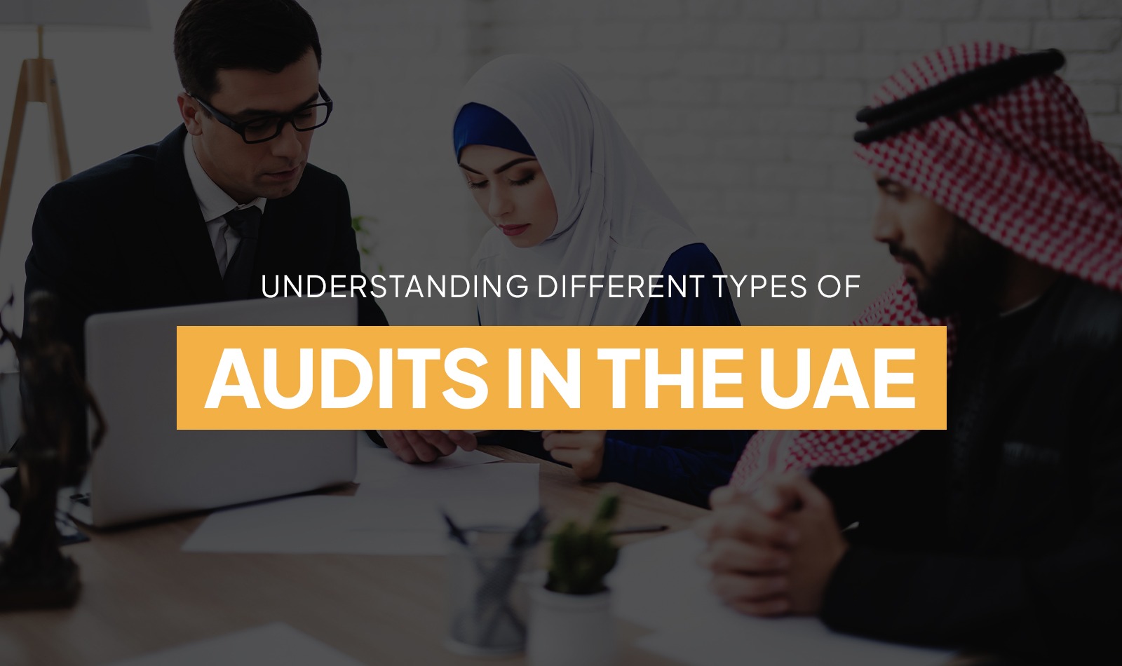 Understanding Different Types of Audits in the UAE