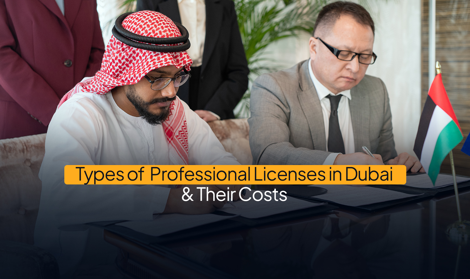 Types of Professional Licenses in Dubai & Their Costs